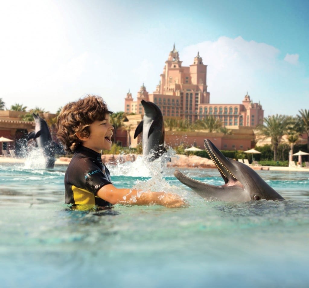 خليج الدلافين في دبي الامارات