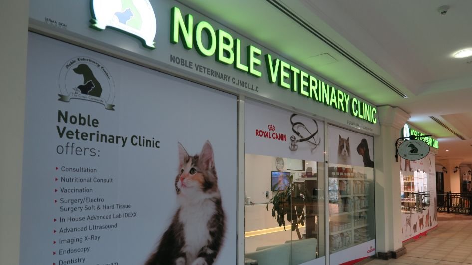 Noble Veterinary Clinic DIP